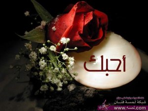 اجمل واروع صور حب 2015