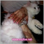 نقوش جميلة 2014