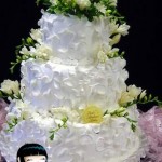 صور تورتات 2014 ، تورتة العروسه 2015  ، صور تورتة عيد الميلاد  ، احلى تورته