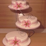 صور تورتات 2014 ، تورتة العروسه 2015  ، صور تورتة عيد الميلاد  ، احلى تورته