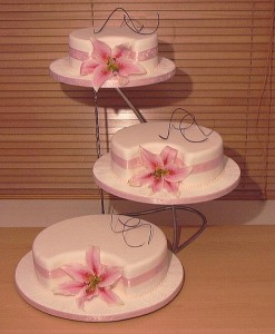 صور تورتات 2014 ، تورتة العروسه 2015  ، صور تورتة عيد الميلاد  ، احلى تورته