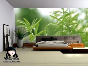 الوان دهانات حوائط مودرن 2014   اجمل الوان الصيف لعام 2015