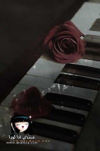 صور خلفيات عزف عالبيانو للايفون 2015 – اجدد صور خلفيات ورود للآيفون 2015 – خلفيات ايفون رومانسية 2015