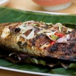 طريقة عمل اكلات رمضانية 2014 – طريقة عمل السمك البلطي بالفرن لرمضان 2014 طريقة عمل اكلات رمضانية 2014 – طريقة عمل السمك البلطي بالفرن لرمضان 2014