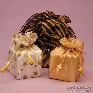 الـمكـافـأة الـزوجـيـة