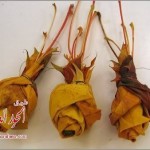 اشغال يدوية رائعة ، اسهل طريقة لعمل وردة ، عمل وردة من القماش -2014