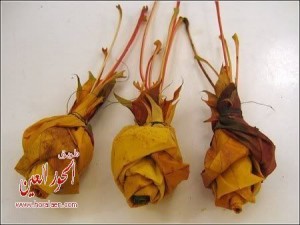 اشغال يدوية رائعة ، اسهل طريقة لعمل وردة ، عمل وردة من القماش -2014