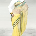 السارى الهندى اجمل الوان السارى الهندى2014