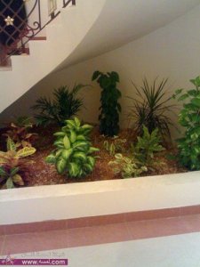 ديكورات سلالم للمنزل العصرى ديكور سلا لام للمنازل 2014