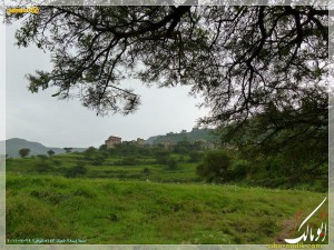 مدينة إب صيف  تصوير أبو مالك  روعه