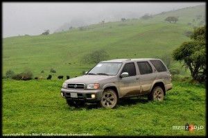 الطبيعة في الحدود العمانية اليمنية