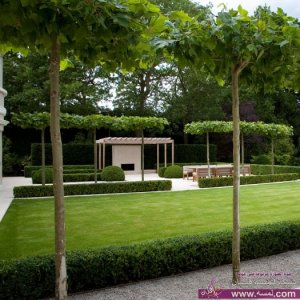 حدائق منزلية 2014   اجمل ديكورات حدائق   Decorative Garden magnificence 2015