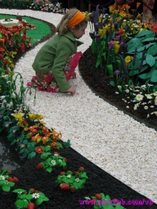 حديقه مصنوعه من الصلصال