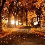 مناظر طبيعيه للتصميم 2014 صور خلابه للتصميم مناظر طبيعيه للتصميم 2014 صور خلابه للتصميم