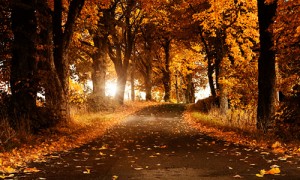 مناظر طبيعيه للتصميم 2014 صور خلابه للتصميم