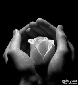 صور لأجواء رومنسيه رائعه2014