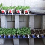 اعمال يدوية من زجاجات الكولا والبيبسي البلاستيك , اجمل اعمال فنية من الزجاج البلاستيكيه اعمال يدوية من زجاجات الكولا والبيبسي البلاستيك , اجمل اعمال فنية من الزجاج البلاستيكيه