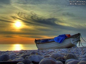 مناظر طبيعية خلابة وصور طبيعية حية مباشرة2014