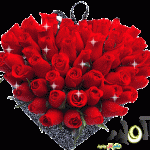 صور ورود 2015 , صور باقات ورد حب 2015 , صور ورود رومانسية