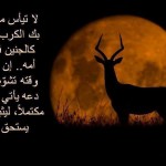 حكم مصورة 2014 , صور مكتوب عليها حكم وامثال 2014 حكم مصورة 2014 , صور مكتوب عليها حكم وامثال 2014