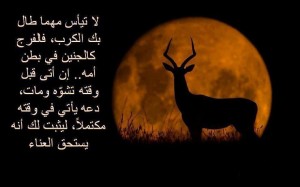 حكم مصورة 2014 , صور مكتوب عليها حكم وامثال 2014