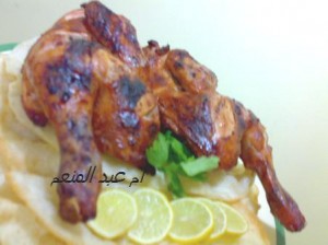 دجاج تكا و الثوميه و الخبز البوري2014 , طريقة عمل اكلات لرمضان 2015