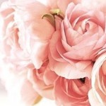 مجموعة من اجمل صور الفيس بوك ورد 2014  ورود رومانسية للبنات 2015