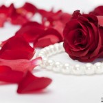 صور ورد احمر جميل كشخه ورود حمراء روعة 2014 , اجمل الورد الرومانسى خقق