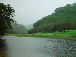 صلالة المدينة الجميلة عمان