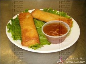 بالصور كتاب اكلات رمضانية منوعة 2014 وصفات اكلات رمضانية للفطور والسحور 2015