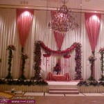 كوش اعراس 2014