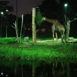 صور روعه بحيرة الليدو – اندونيسيا