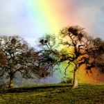 صور طبيعيه جميله لتصميم 2015 , اروع صور الطبيعه لتصاميم الفوتوشوب 2014