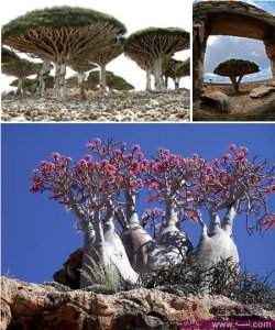 اغرب 10 اماكن على وجه الارض