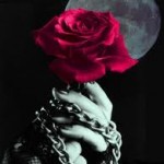 نعم أنا امرأة