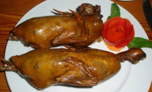 وائد لحم الحمام للجسم والصحة