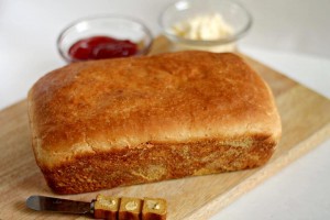 كيفية عمل التوست